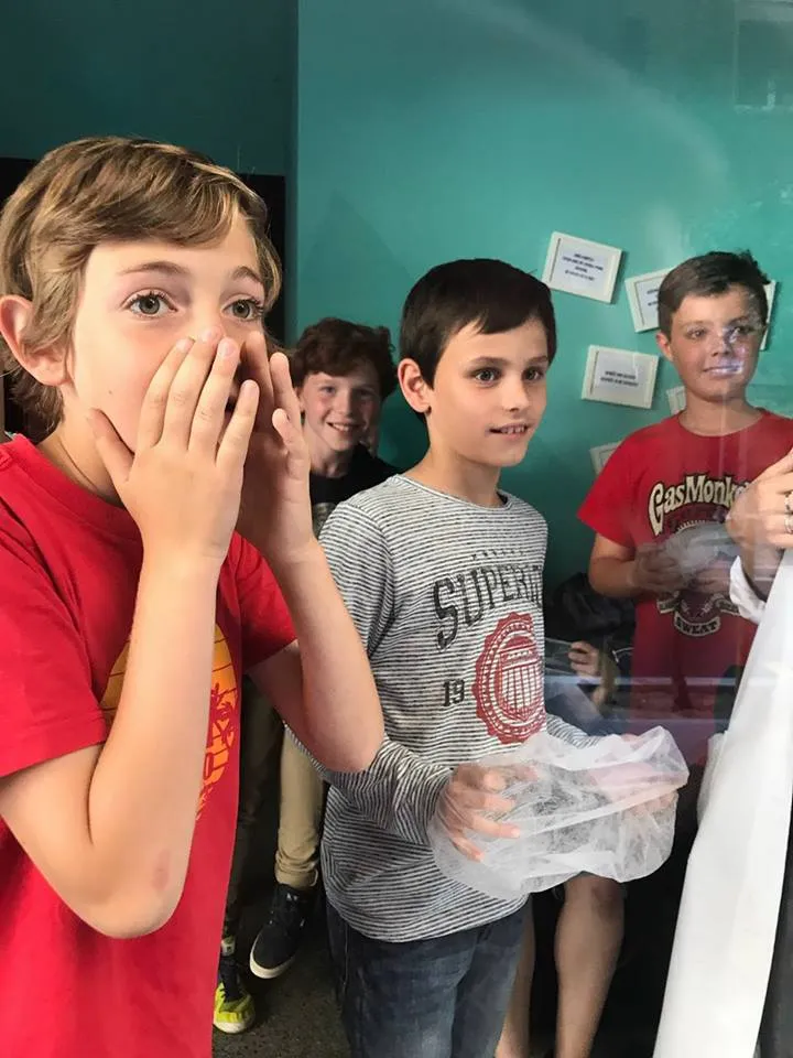 Fotografia 1 de Escape Room